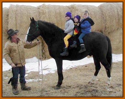 "Here's my sire, Jubal, giving rides to happy kids.  I want to grow up and be just like him some day!"